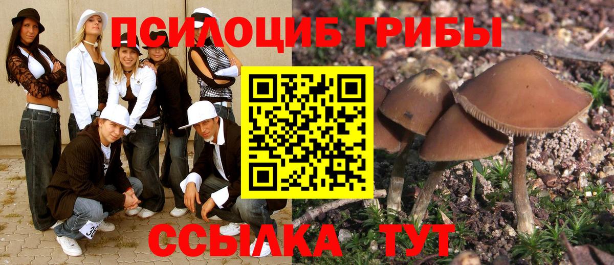 Галлюциногенные грибы Psilocybine cubensis Алексеевка