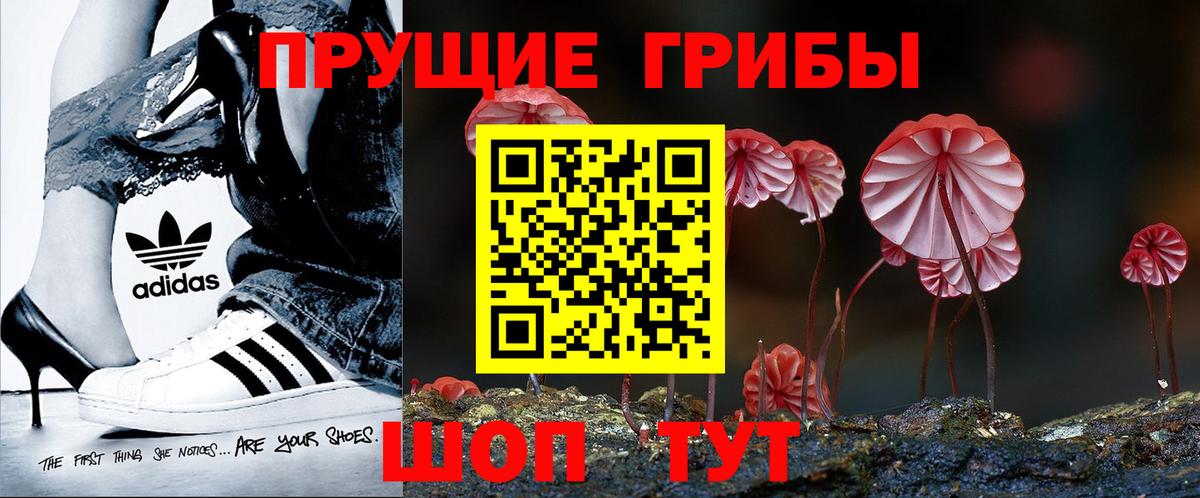 Псилоцибиновые грибы GOLDEN TEACHER  Галлюциногенные грибы Cubensis  Алексеевка  Вход с VPN 